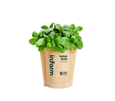 potted_herbs potted herbs